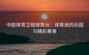 中欧体育卫视体育台：体育迷的乐园与精彩赛事