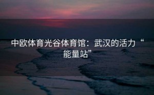 中欧体育光谷体育馆：武汉的活力“能量站”