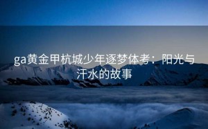 ga黄金甲杭城少年逐梦体考：阳光与汗水的故事