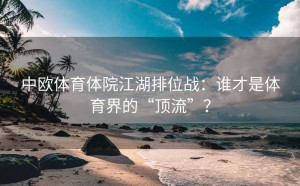 中欧体育体院江湖排位战：谁才是体育界的“顶流”？