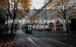 ga黄金甲杭城少年逐梦体考：阳光与汗水的故事