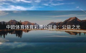 中欧体育体育彩票公益金：公益之光