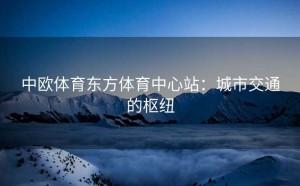 中欧体育东方体育中心站：城市交通的枢纽