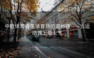中欧体育春茧体育场的奇妙夜——当运动遇上烟火气
