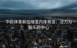 中欧体育新加坡室内体育馆：活力与娱乐的中心