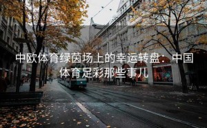 中欧体育绿茵场上的幸运转盘：中国体育足彩那些事儿