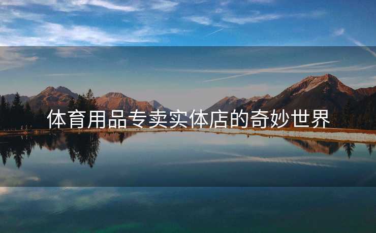 体育用品专卖实体店的奇妙世界