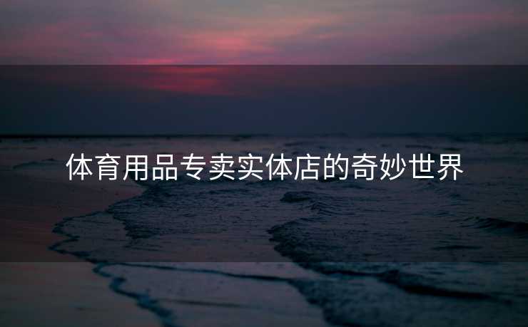 体育用品专卖实体店的奇妙世界