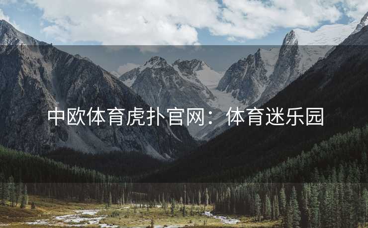 中欧体育虎扑官网：体育迷乐园