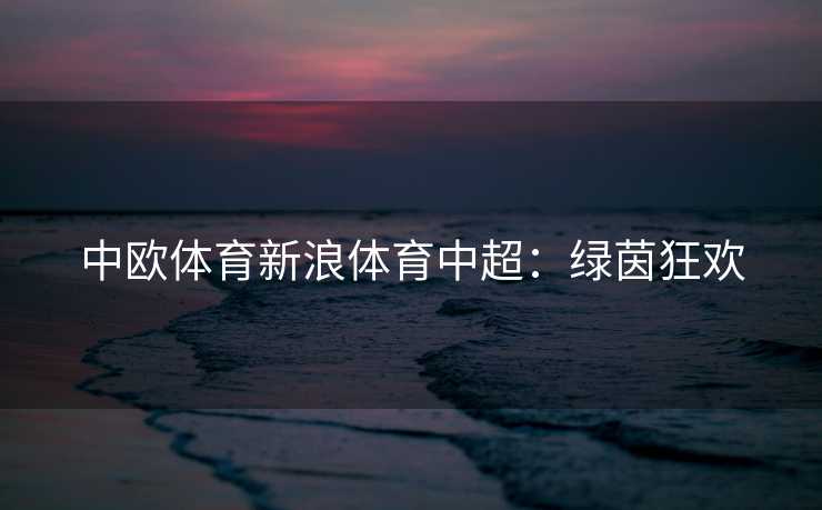 中欧体育新浪体育中超：绿茵狂欢