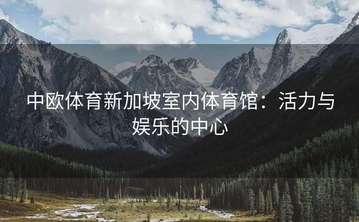 中欧体育新加坡室内体育馆：活力与娱乐的中心