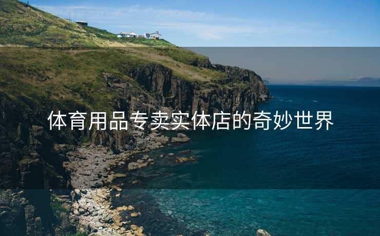 体育用品专卖实体店的奇妙世界