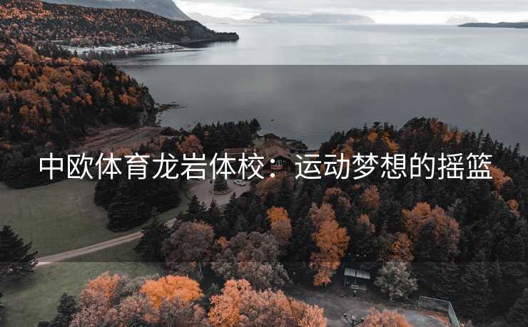 中欧体育龙岩体校：运动梦想的摇篮