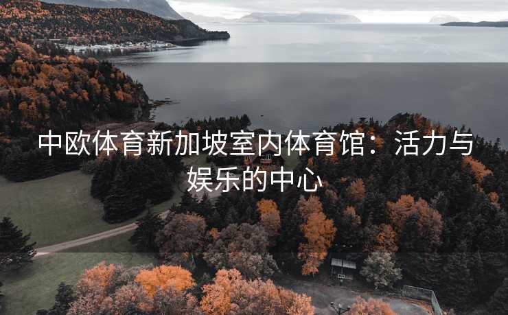 中欧体育新加坡室内体育馆：活力与娱乐的中心