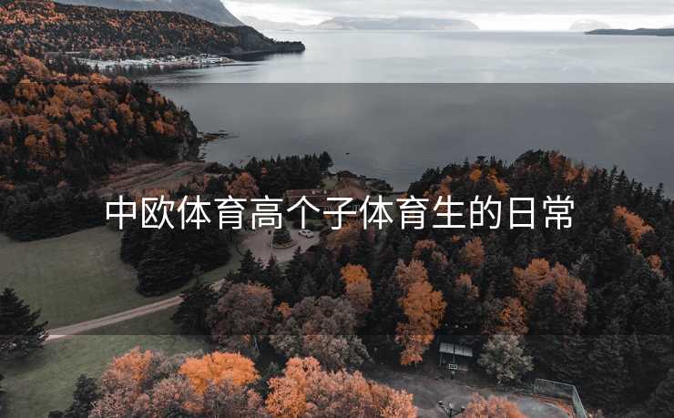 中欧体育高个子体育生的日常