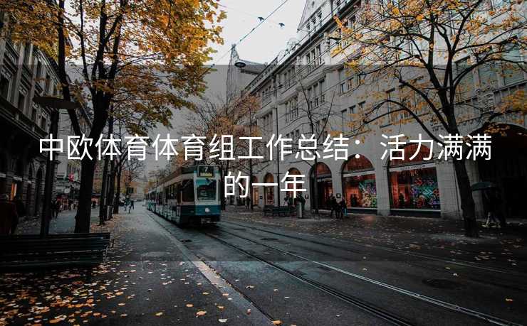 中欧体育体育组工作总结：活力满满的一年