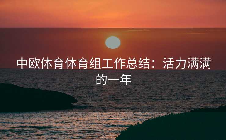 中欧体育体育组工作总结：活力满满的一年