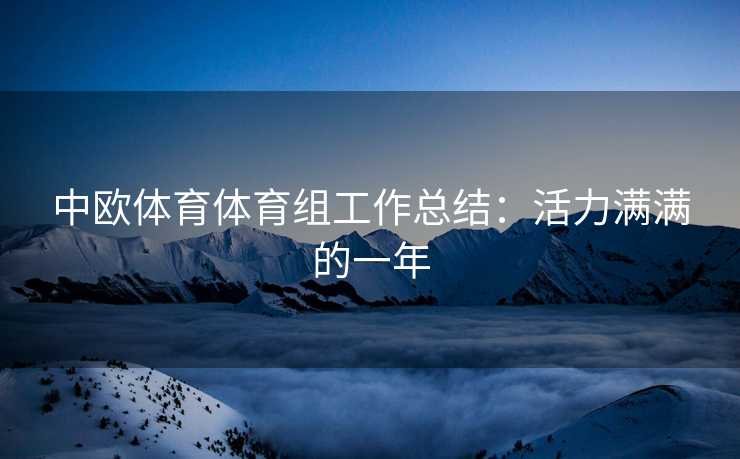 中欧体育体育组工作总结：活力满满的一年