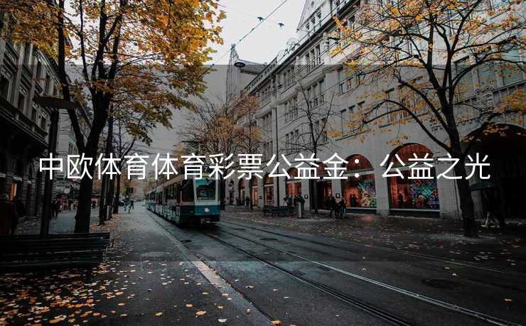 中欧体育体育彩票公益金：公益之光