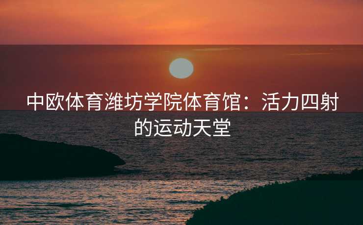 中欧体育潍坊学院体育馆：活力四射的运动天堂