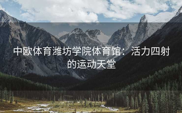 中欧体育潍坊学院体育馆：活力四射的运动天堂