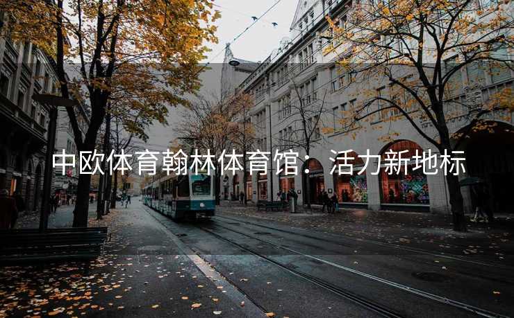 中欧体育翰林体育馆：活力新地标
