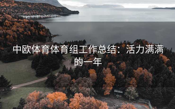 中欧体育体育组工作总结：活力满满的一年