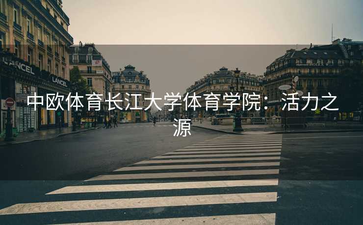 中欧体育长江大学体育学院：活力之源