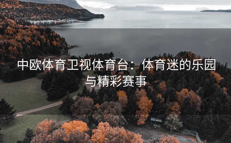 中欧体育卫视体育台：体育迷的乐园与精彩赛事