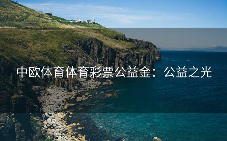 中欧体育体育彩票公益金：公益之光