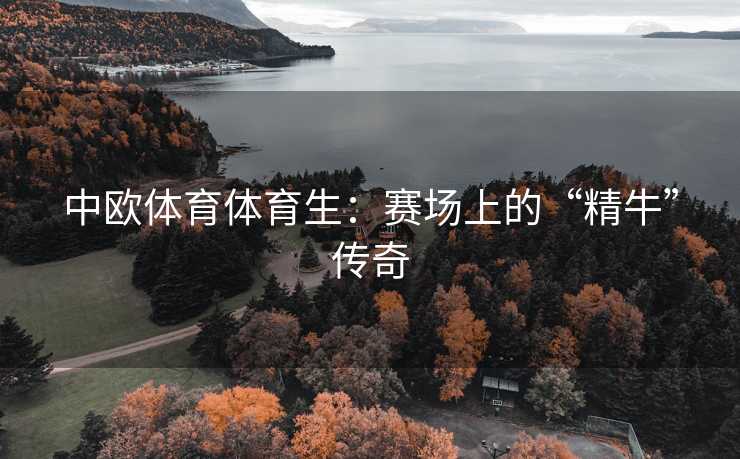 中欧体育体育生：赛场上的“精牛”传奇