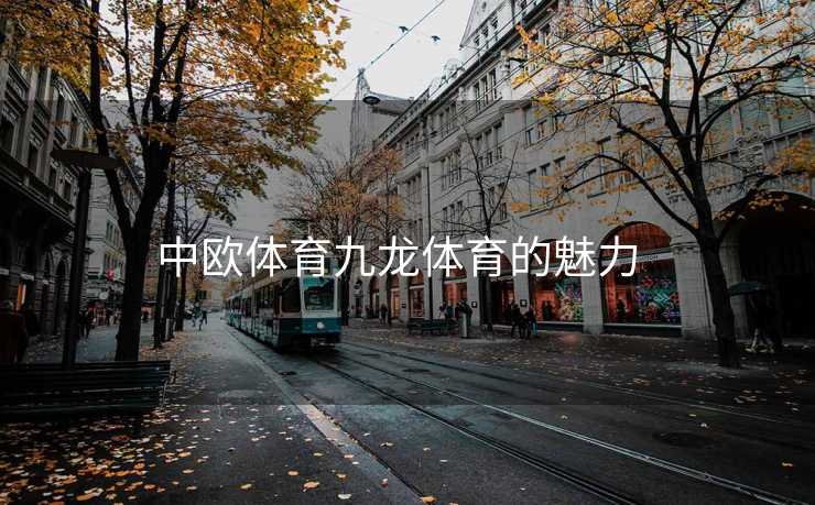 中欧体育九龙体育的魅力  