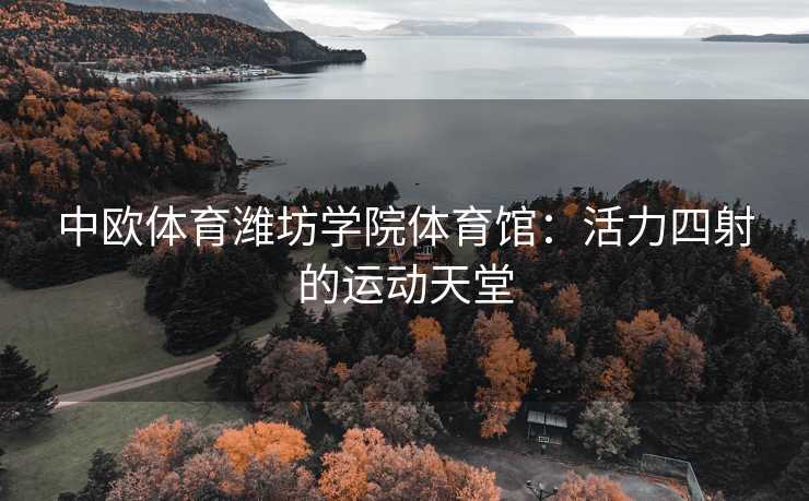 中欧体育潍坊学院体育馆：活力四射的运动天堂