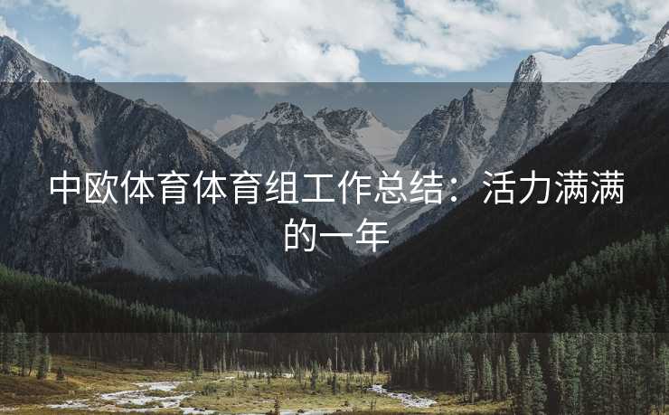 中欧体育体育组工作总结：活力满满的一年