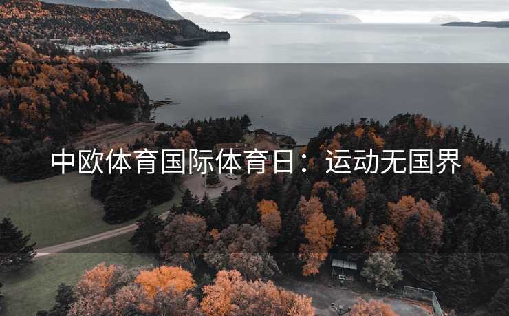 中欧体育国际体育日：运动无国界
