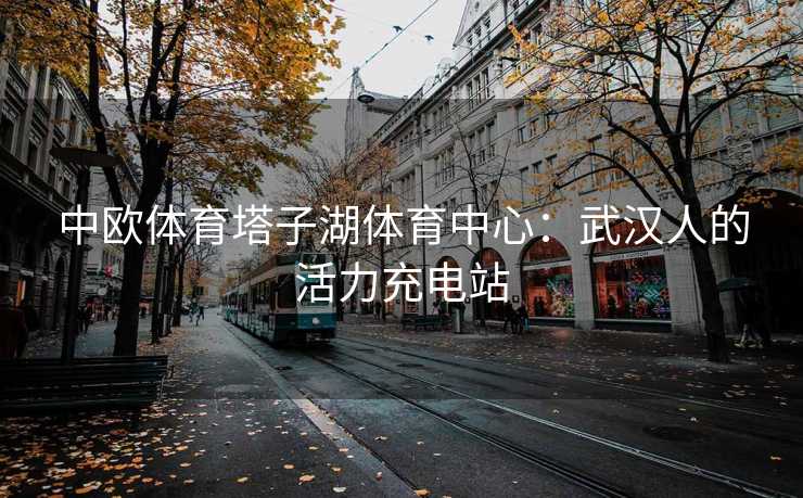 中欧体育塔子湖体育中心：武汉人的活力充电站