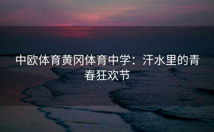 中欧体育黄冈体育中学：汗水里的青春狂欢节