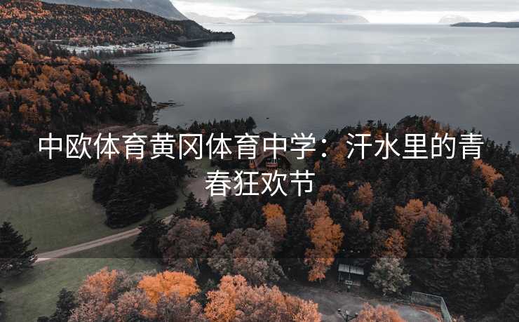中欧体育黄冈体育中学：汗水里的青春狂欢节