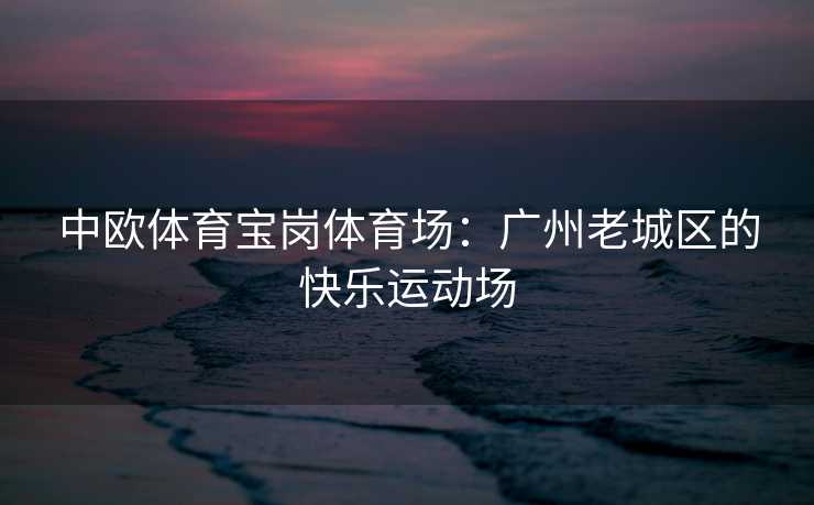 中欧体育宝岗体育场：广州老城区的快乐运动场