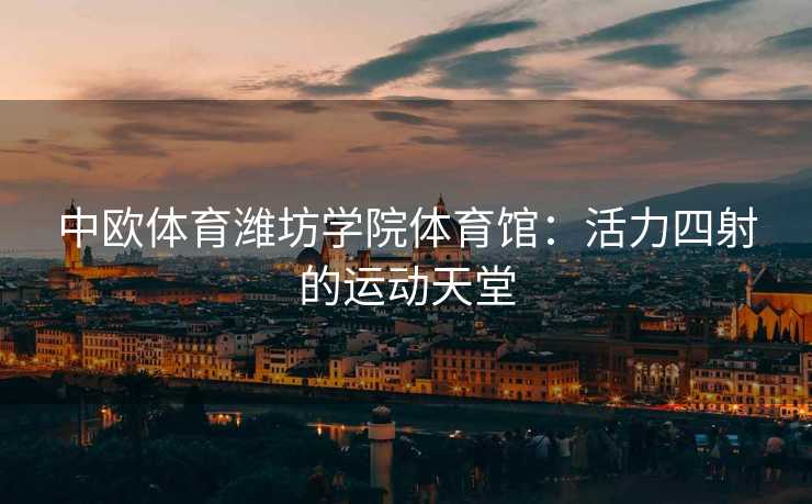 中欧体育潍坊学院体育馆：活力四射的运动天堂