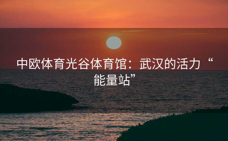 中欧体育光谷体育馆：武汉的活力“能量站”