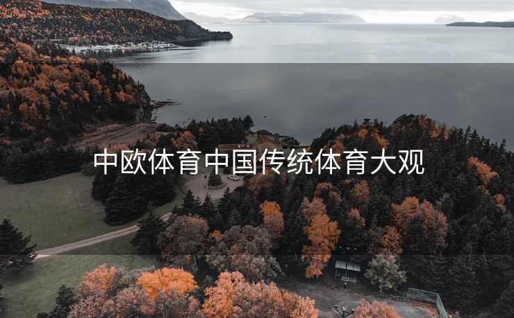 中欧体育中国传统体育大观