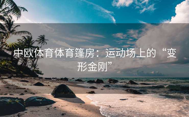 中欧体育体育篷房：运动场上的“变形金刚”