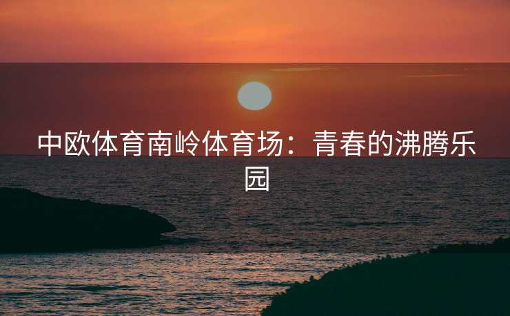 中欧体育南岭体育场：青春的沸腾乐园