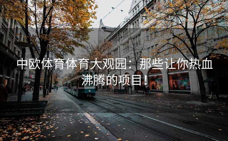 中欧体育体育大观园：那些让你热血沸腾的项目！