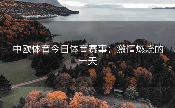 中欧体育今日体育赛事：激情燃烧的一天