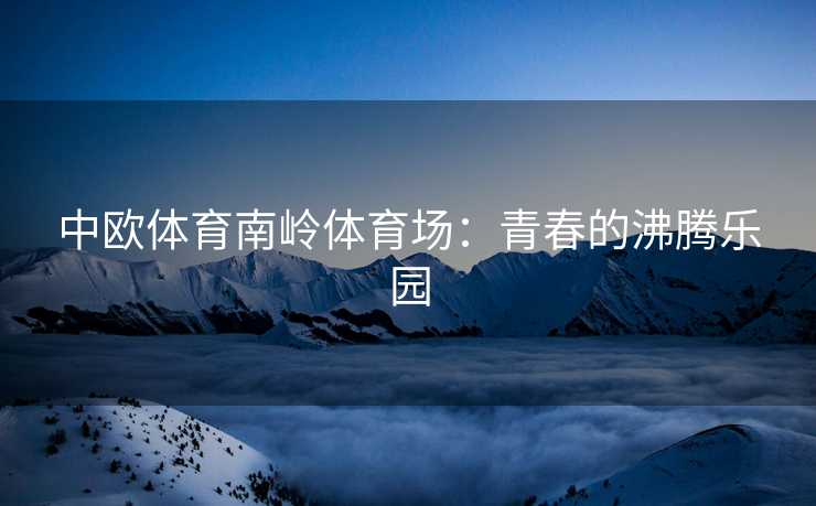 中欧体育南岭体育场：青春的沸腾乐园