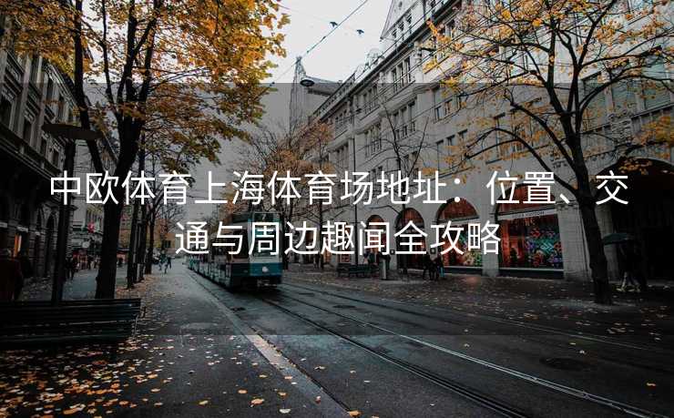 中欧体育上海体育场地址：位置、交通与周边趣闻全攻略