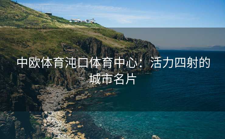 中欧体育沌口体育中心：活力四射的城市名片
