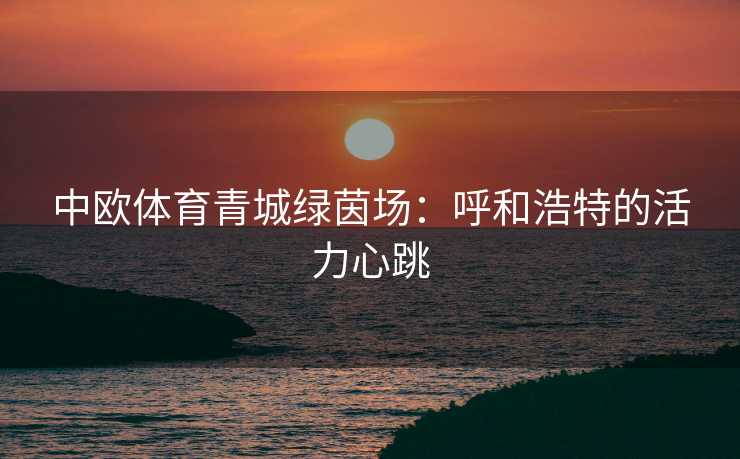 中欧体育青城绿茵场：呼和浩特的活力心跳